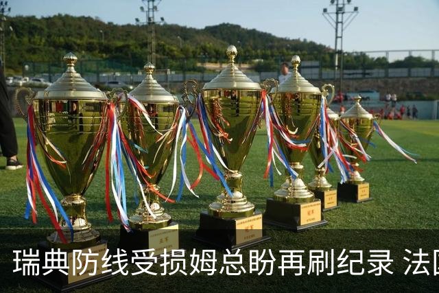 瑞典防线受损姆总盼再刷纪录 法国半场锁胜局?